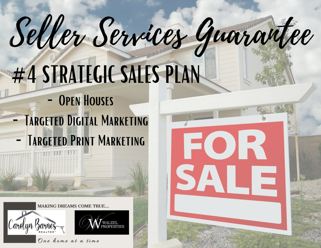 Seller Services Guarantee: Strategic Sales Plan